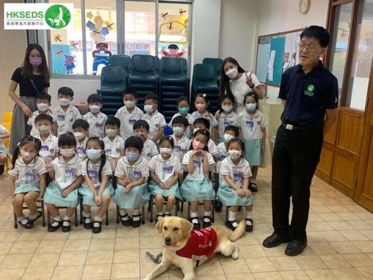 Seeing Tools Companion Dog – Hong Kong Seeing Dog Service