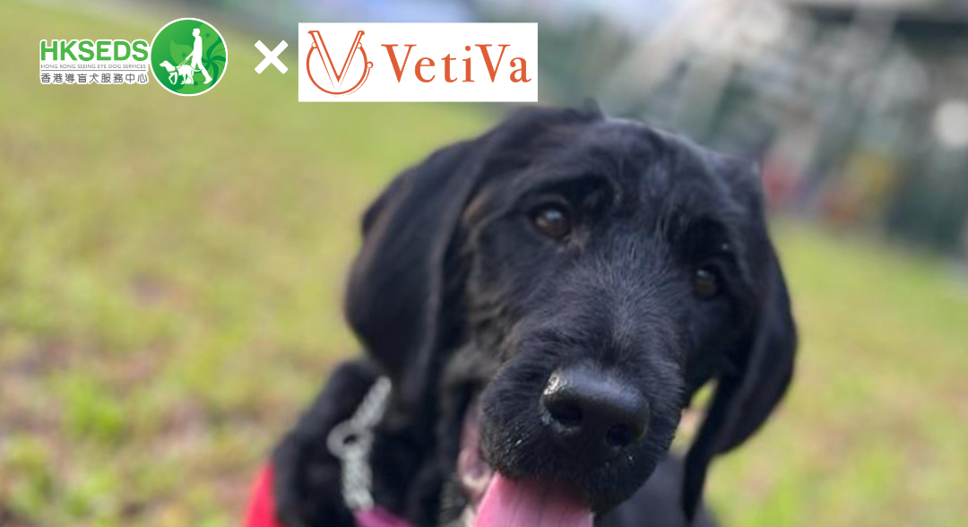 中心指定動物醫院 